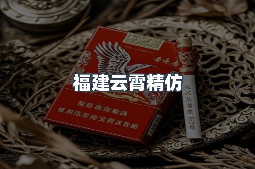 福建云霄精仿
